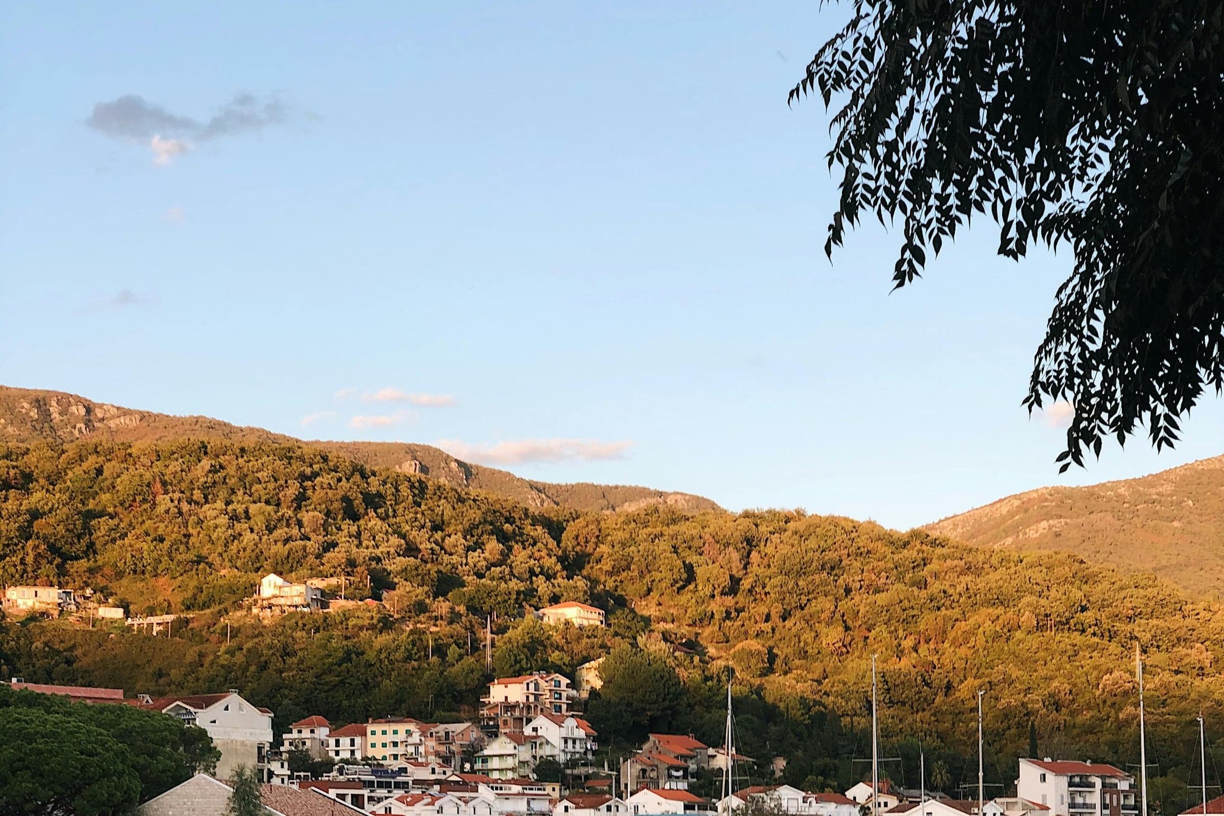Herceg Novi
